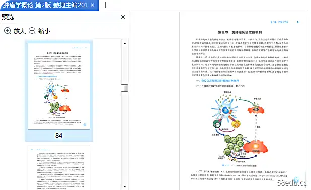 人民卫报版肿瘤学概论第二版pdf