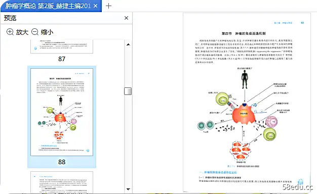 人民卫报版肿瘤学概论第二版pdf