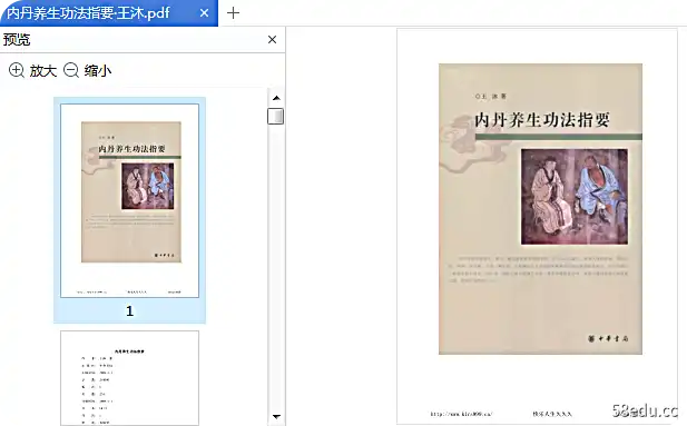 内丹养生功法参考王木pdf