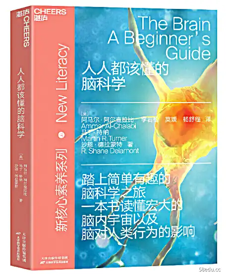 脑科学pdf电子书大家应该知道的 每个人都应该知道的脑科学pdf电子书