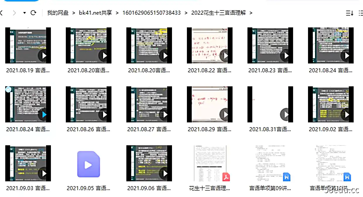 2022花生十三言语理解|百度云网盘-不可思议资源网