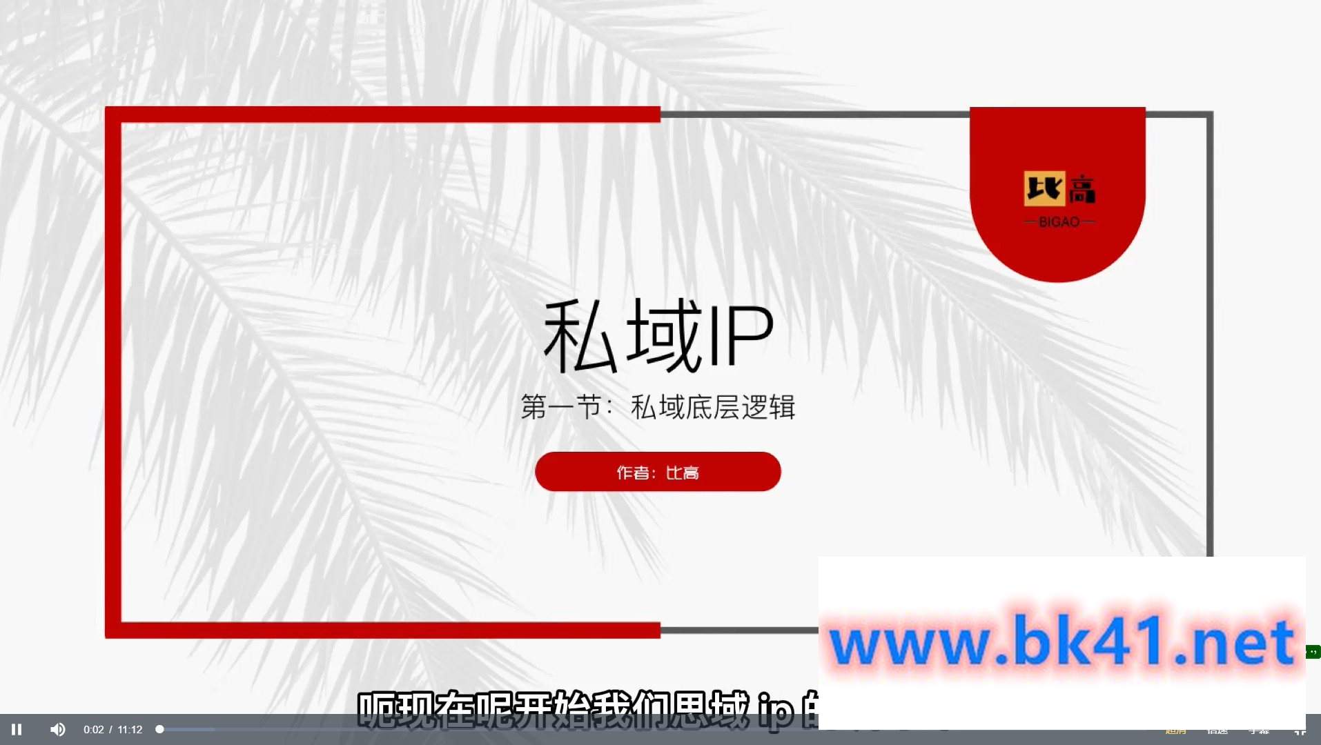 比高私域IP流量变现视频课插图 比高私域IP流量变现视频课插图
