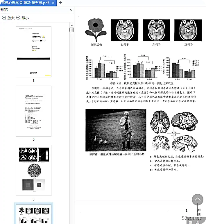 图片[3]-《普通心理学》第五版pdf高清完整版|百度网盘下载-不可思议资源网