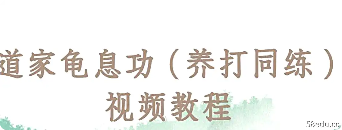 《道家龟息功（养打同练）》视频教程5节-不可思议资源网