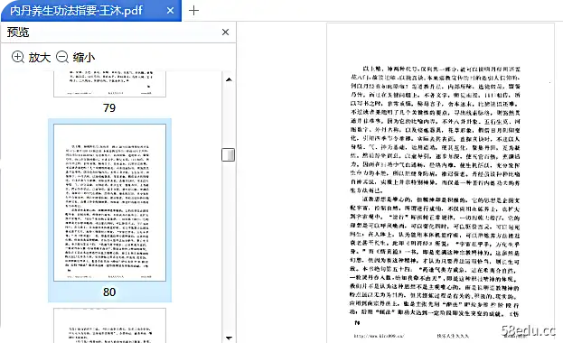 内丹养生功法参考王木pdf