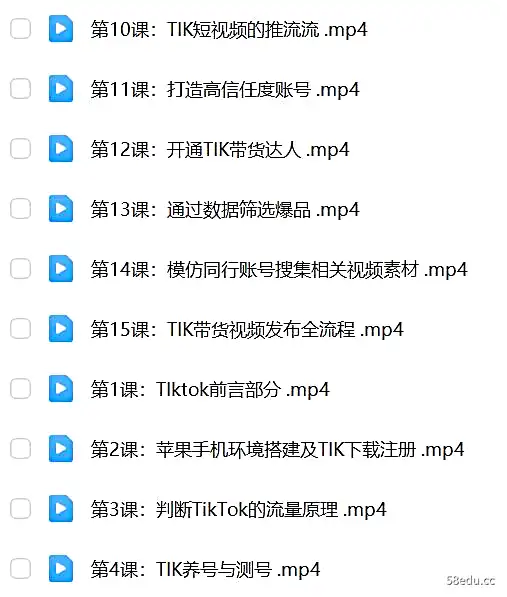 2023风口项目TIKtok出海掘金计划短视频直播带货跨境电商-不可思议资源网