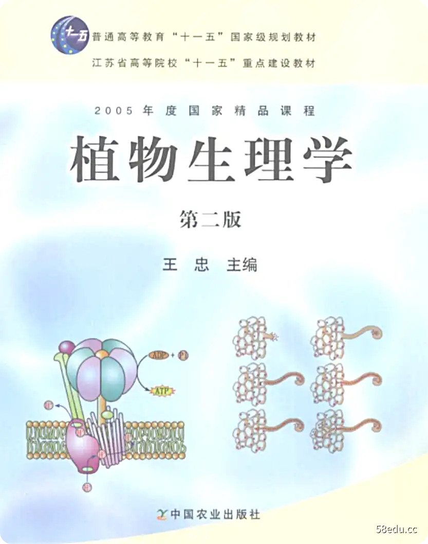 《植物生理学》(pdf电子书下载)|百度网盘下载-不可思议资源网
