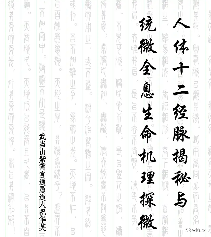 66祝华英,人体十二经脉揭秘及统全息与微全息生命机理探微-不可思议资源网