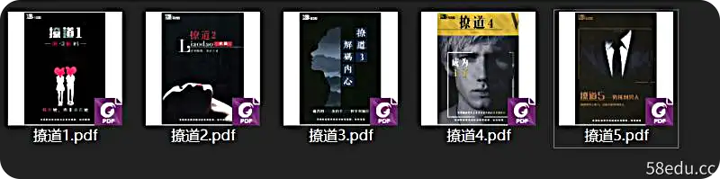 绝版男生恋爱书籍:撩道1-5系列【价值不菲】-不可思议资源网