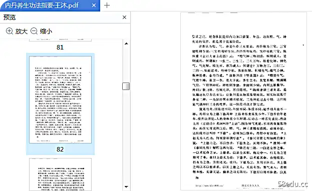内丹养生功法参考王木pdf