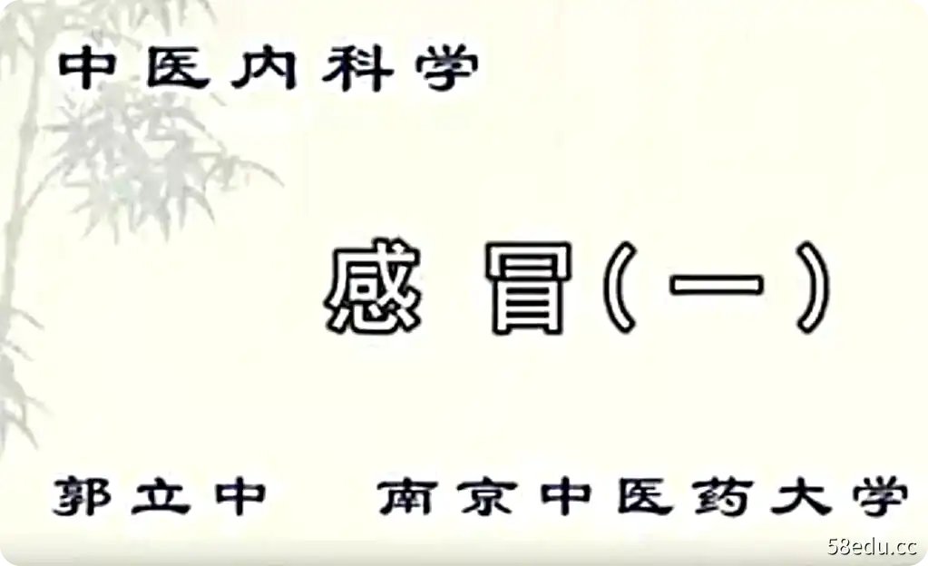 南京中医药大学郭立中《中医内科学》24讲完整版-不可思议资源网