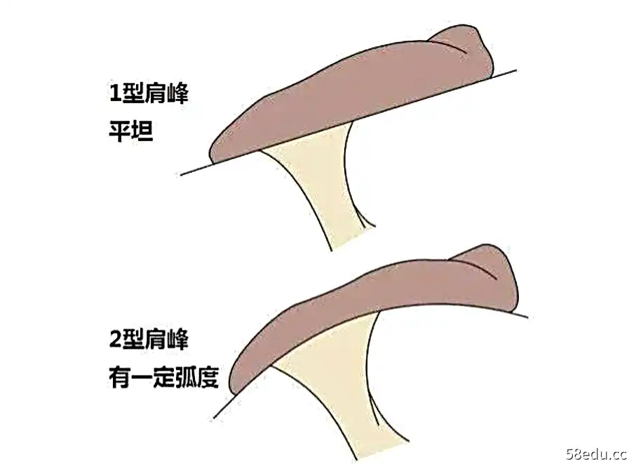 图片[2]-三合至道~肩峰撞击综合症康复矫正-不可思议资源网