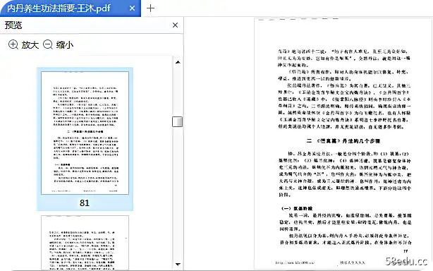 内丹养生功法参考王木pdf
