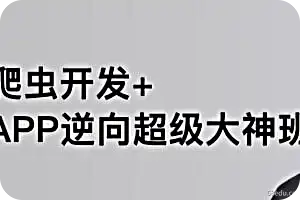 爬虫开发+APP逆向超级大神班-03期 - 带源码课件-不可思议资源网