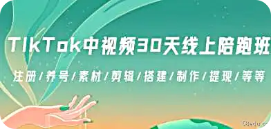 TikTok中视频-30天线上陪跑班:注册/养号/素材/剪辑/搭建/制作/提现/等等-不可思议资源网