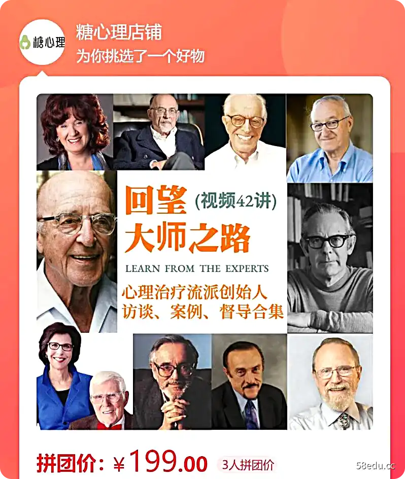 回望大师之路：心理治疗流派创始人访谈、案例、督导合集》视频42讲-不可思议资源网