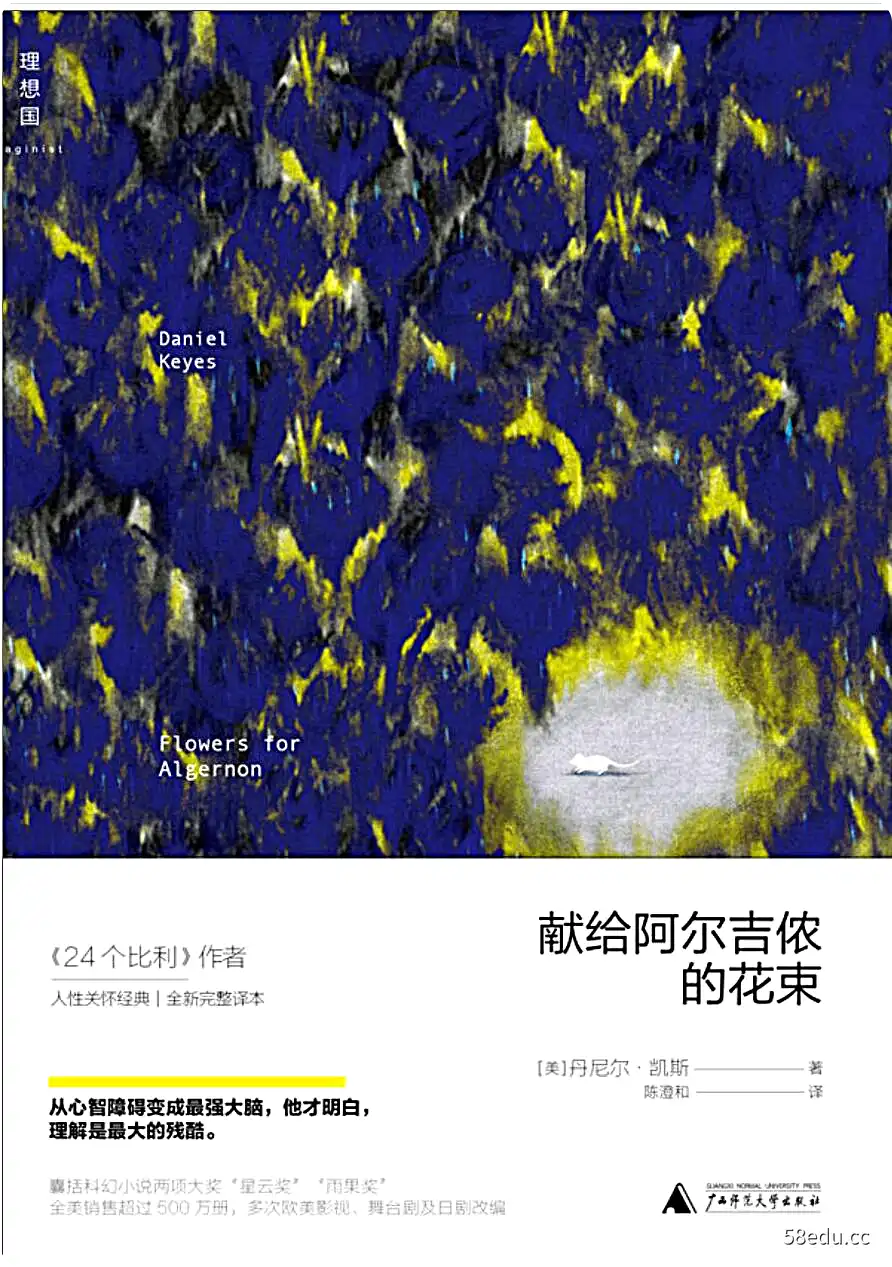 [美]丹尼尔·凯斯《献给阿尔吉侬的花束》pdf电子书下载-不可思议资源网