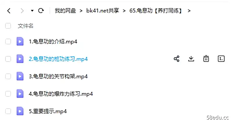 图片[3]-《道家龟息功（养打同练）》视频教程5节-不可思议资源网
