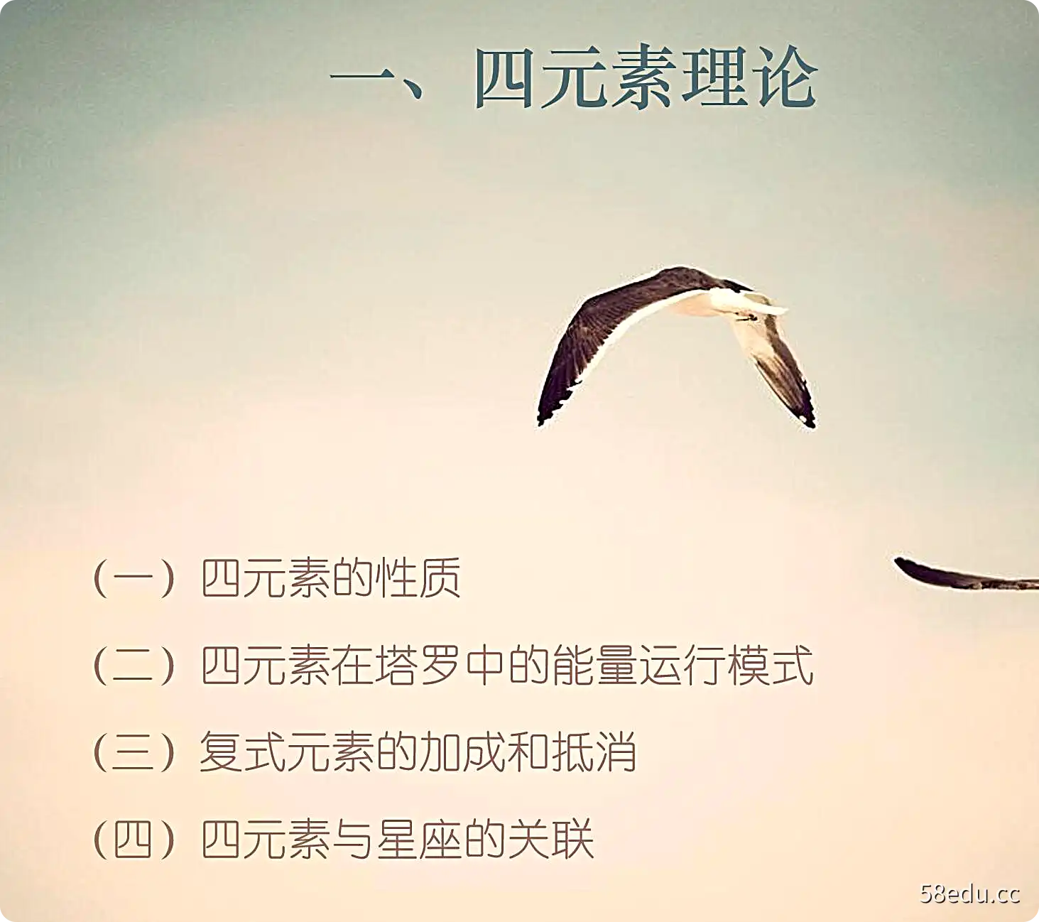 艾米塔罗牌占卜（初级+高级 ） 算爱情4.2视频课程 百度云下载-不可思议资源网
