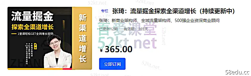 张琦：流量掘金探索全渠道增长价值365元,百度网盘，阿里云盘下载-不可思议资源网