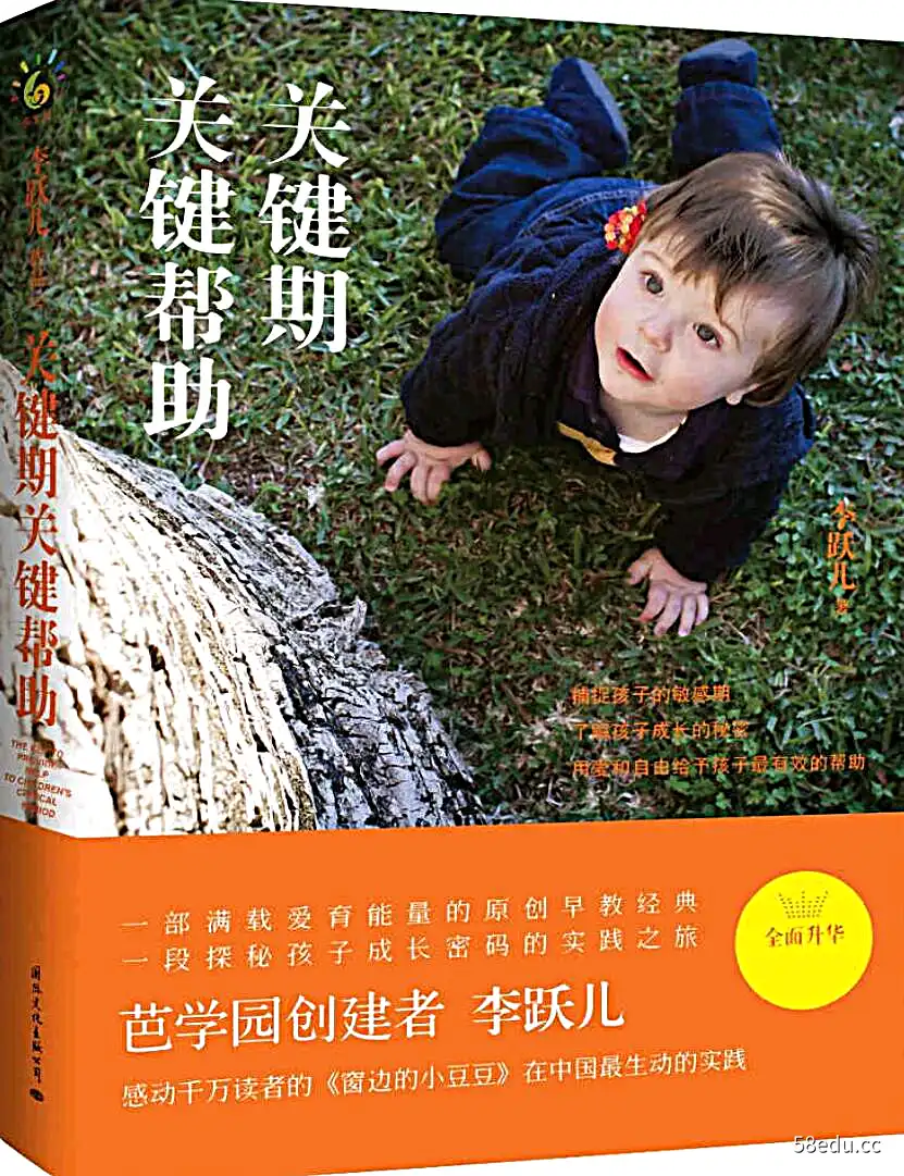 《关键期关键帮助》pdf电子书|百度网盘下载-不可思议资源网