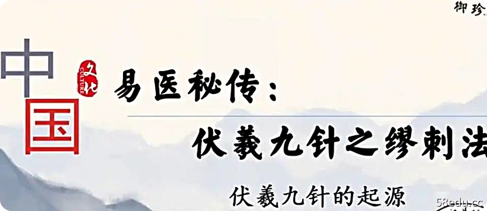 9527 承文易医绝技:伏羲九针缪刺疗法-不可思议资源网