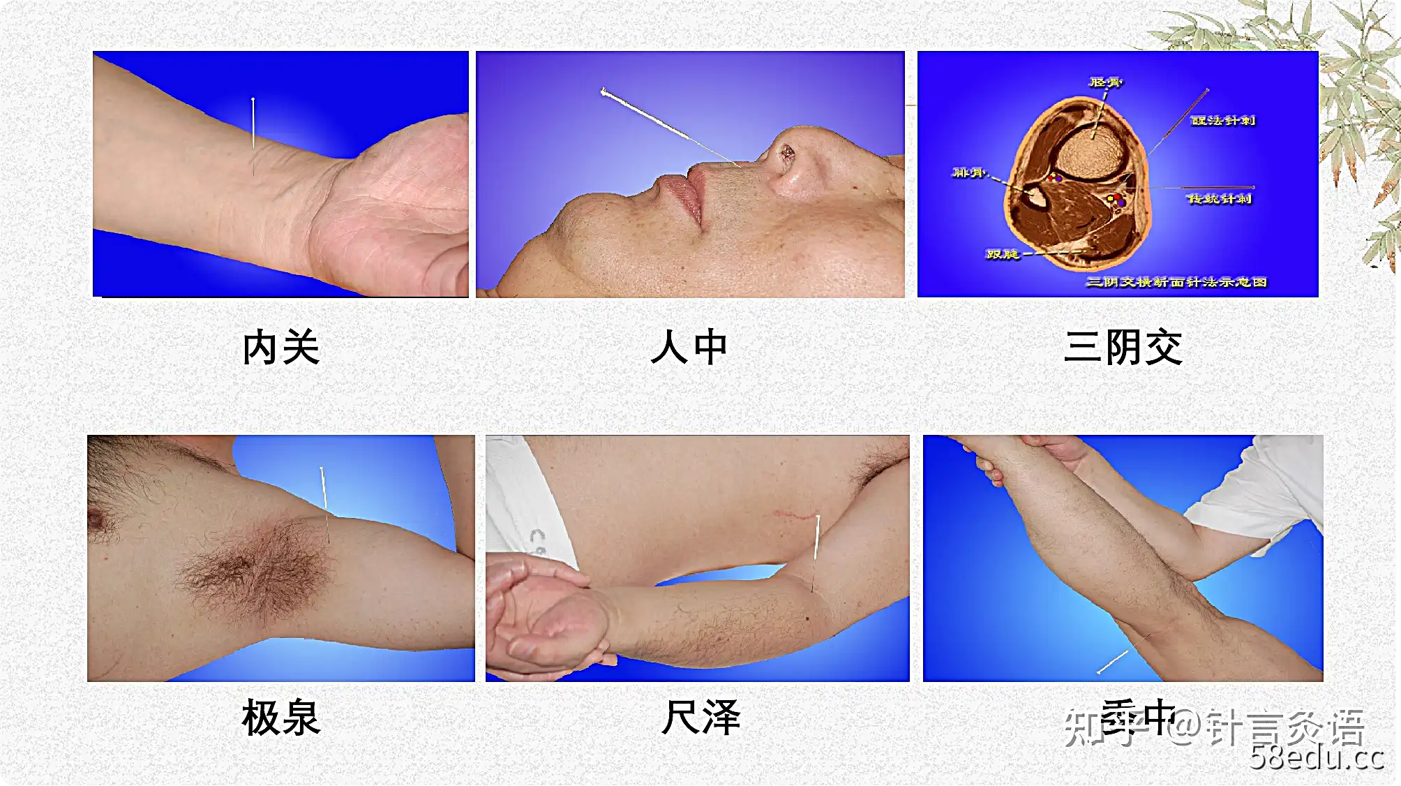 石学敏教授针刺手法系列视频-不可思议资源网