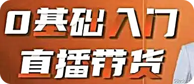 罗永浩交个朋友电商:0基础入门直播带货-不可思议资源网