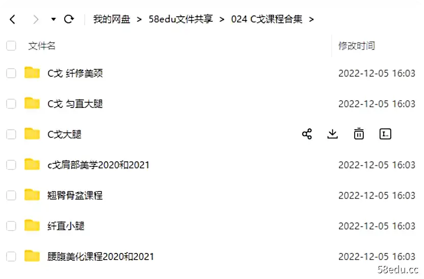 图片[2]-私教C戈体态矫正2021-2022课程合集（小腿、大腿、腰腹、臀部、肩部）-不可思议资源网