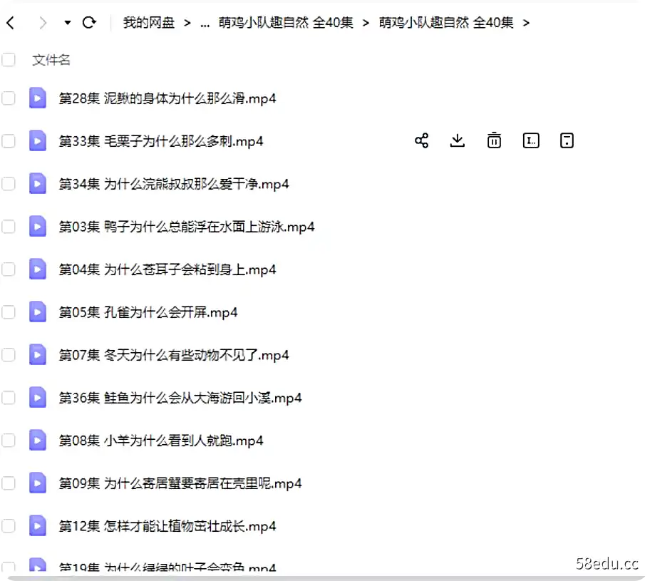《萌鸡小队趣自然》全40集下载 萌鸡小队系列动画|百度云网盘-不可思议资源网