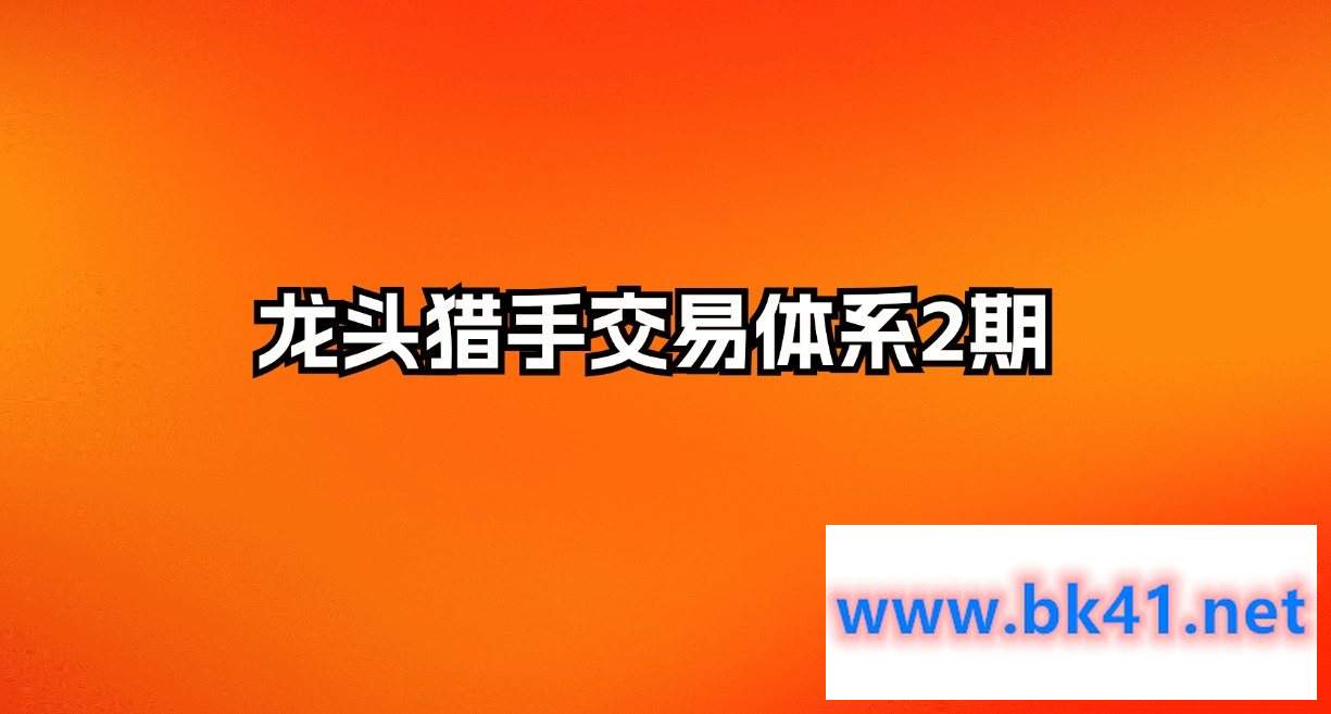 龙头猎手交易体系2期-不可思议资源网
