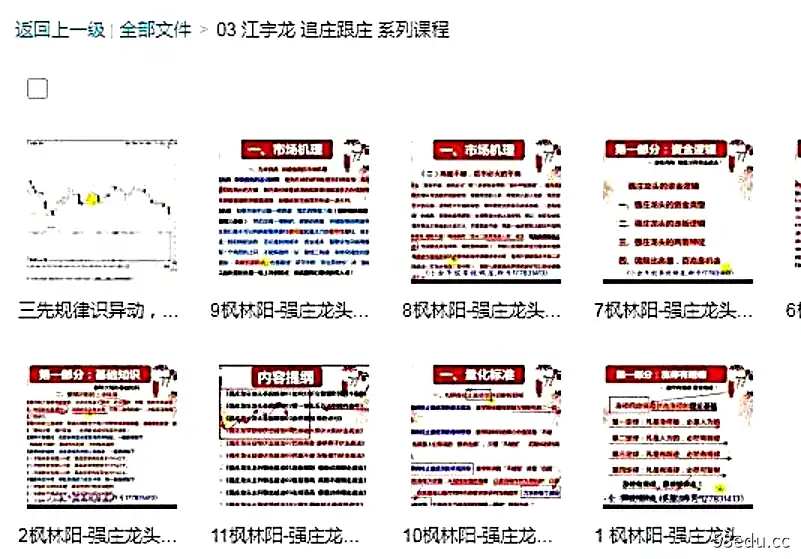 江宇龙（枫林阳）追庄跟庄系列课程 百度网盘下载-不可思议资源网