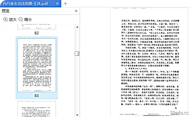 内丹养生功法参考王木pdf