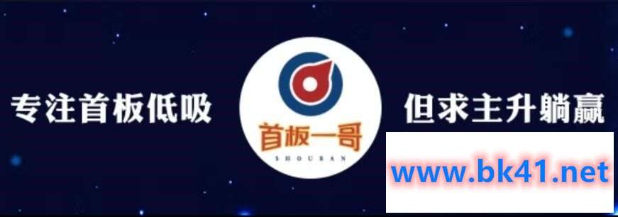 首板一哥视频课程（39集）-不可思议资源网