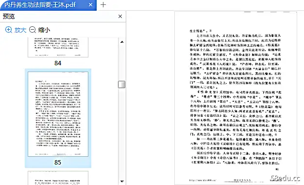 内丹养生功法参考王木pdf