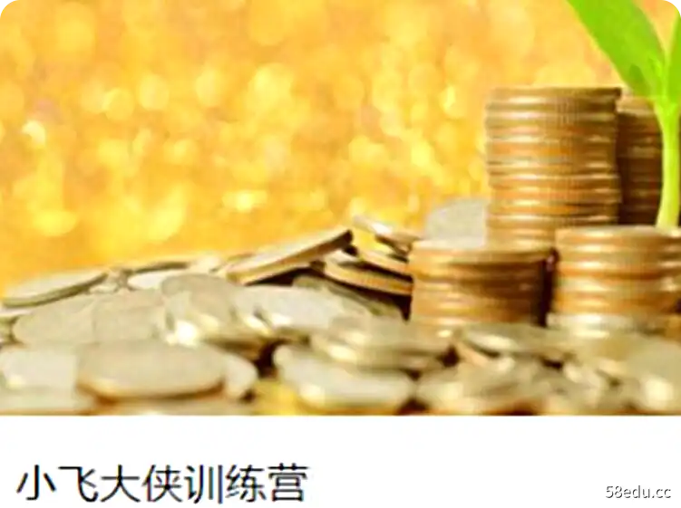 小飞大侠训练营2期视频课程-不可思议资源网