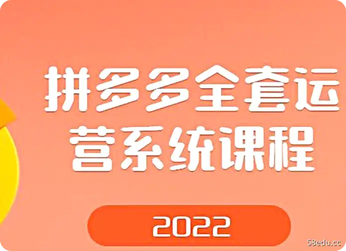 拼多多全套运营系统课程-不可思议资源网