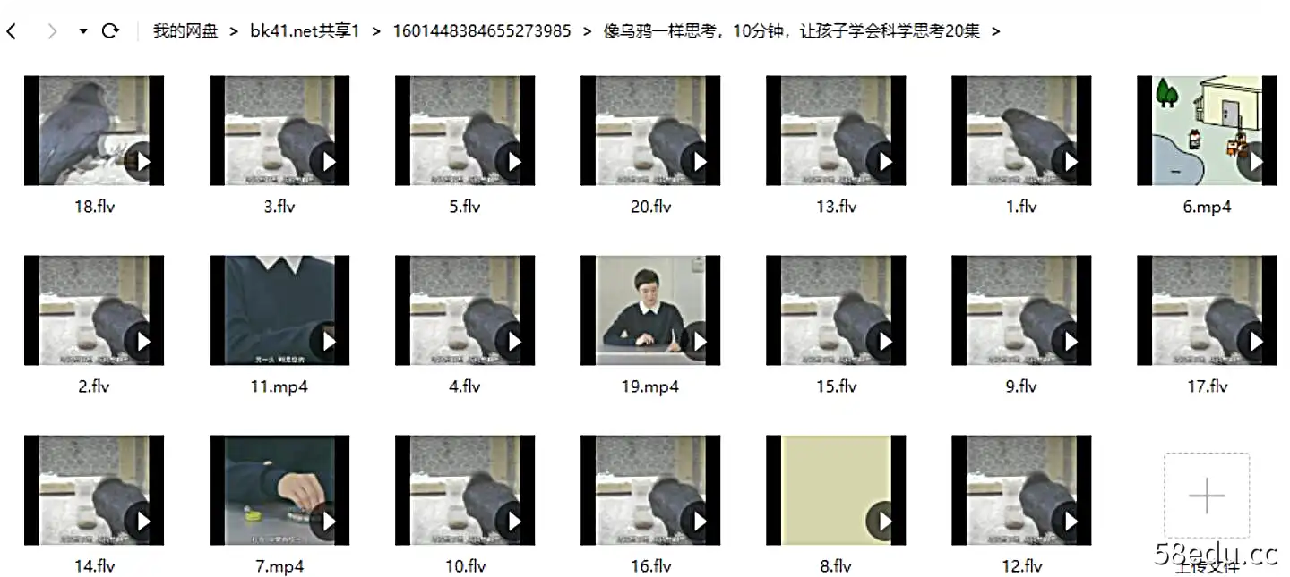 图片[3]-《像乌鸦一样思考》日本NHK电视台 科普片|百度云网盘-不可思议资源网