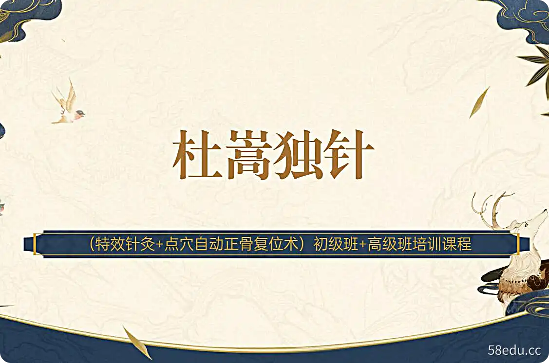 杜嵩独针（特效针灸+点穴自动正骨复位术）初级班+高级班培训课程-不可思议资源网