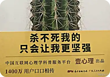 Antifragile: Be a Strong Heart PDF 反脆弱:做一颗坚强的心 PDF