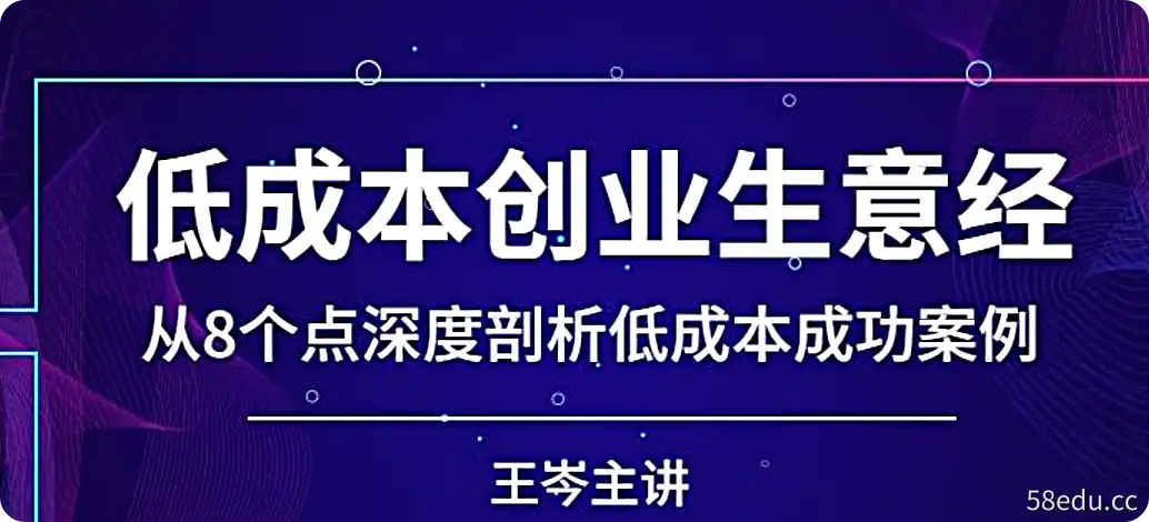 王岑《低成本创业生意经》从8个点深度剖析低成本成功案例-不可思议资源网