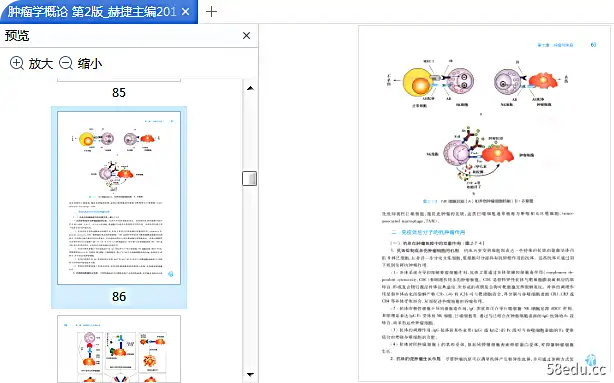 人民卫报版肿瘤学概论第二版pdf