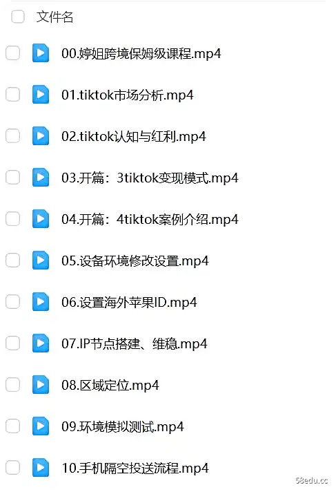 婷姐跨境·TikTOK落地训练营-不可思议资源网
